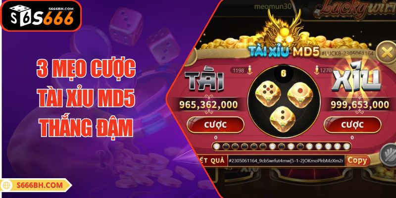 3 mẹo cược Tài Xỉu MD5 thắng đậm