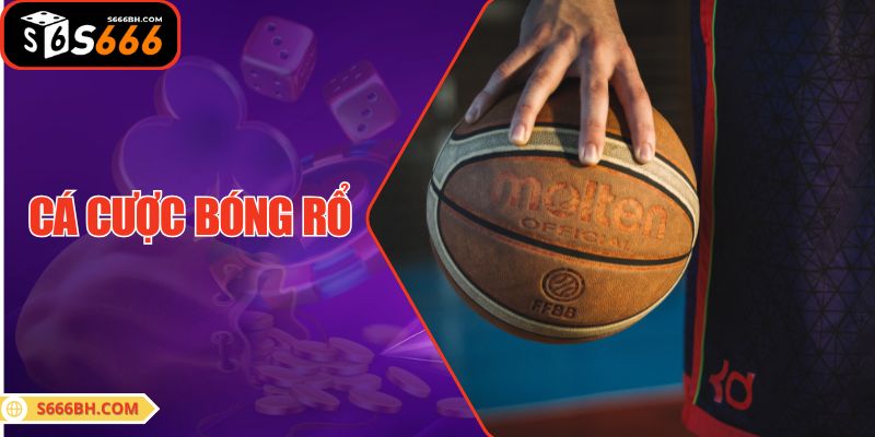Cá cược Bóng Rổ S666| Các Loại Kèo & Cách Đọc Chuẩn 2025