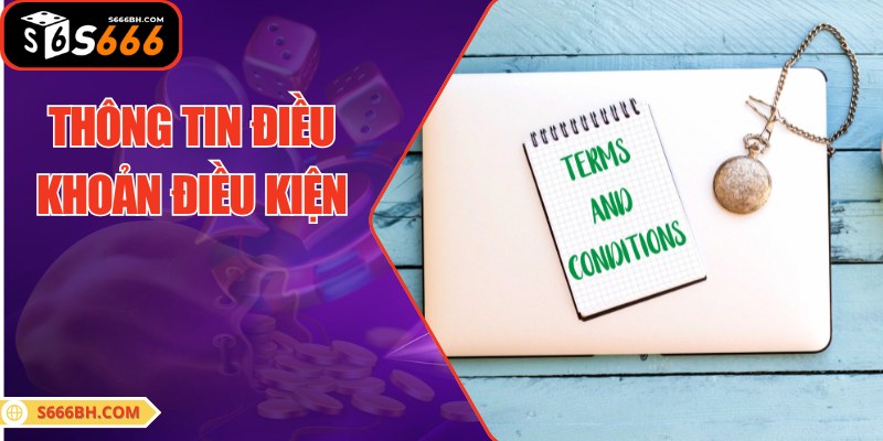 Các thông tin giới thiệu điều khoản điều kiện S666
