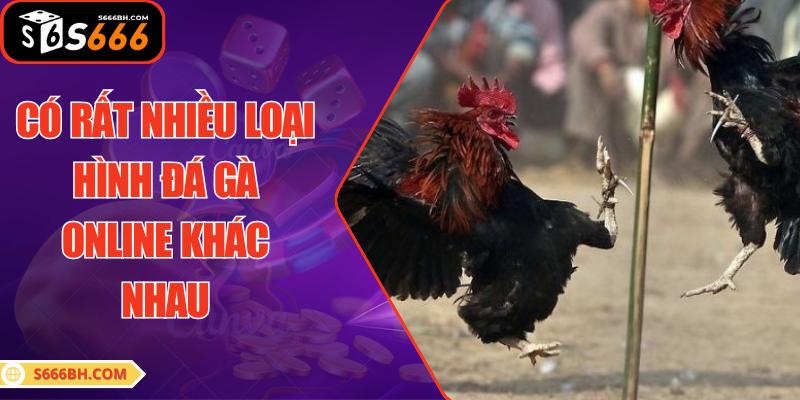 Có rất nhiều loại hình đá gà online khác nhau