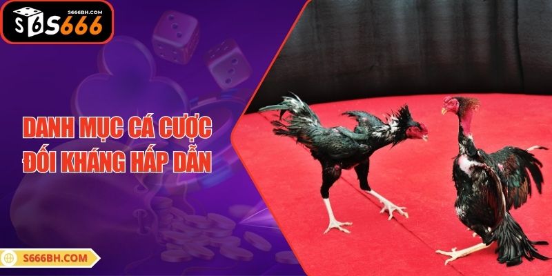 Danh mục cá cược đối kháng hấp dẫn