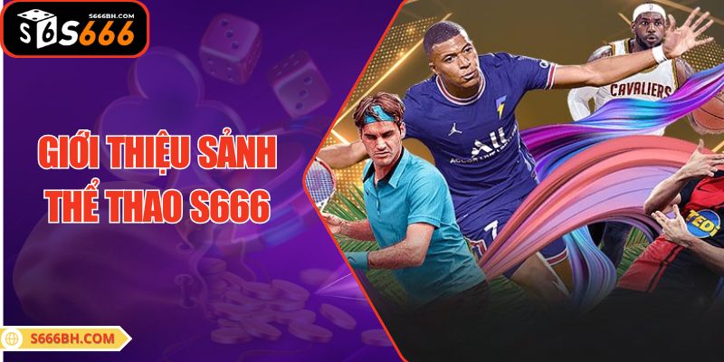 Giới thiệu sảnh thể thao S666
