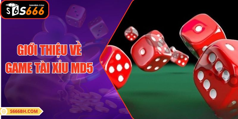Giới thiệu về game Tài Xỉu MD5