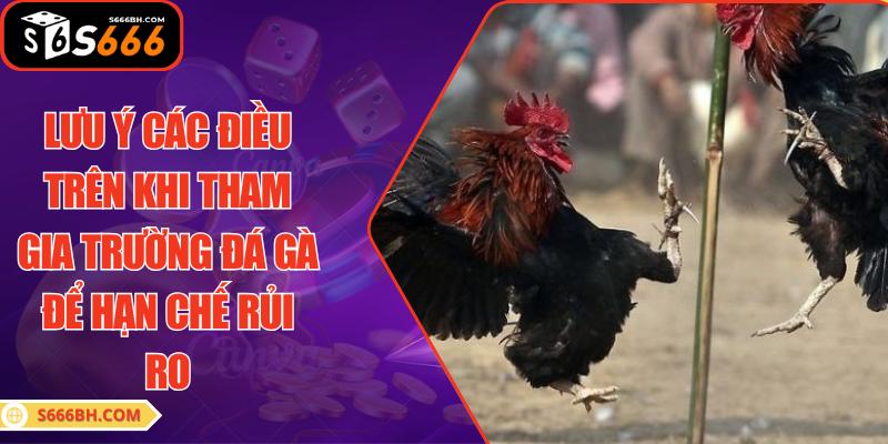 Lưu ý các điều trên khi tham gia trường đá gà để hạn chế rủi ro