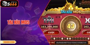 Tài Xỉu MD5 Là Gì? Giải Mã Cơ Chế Hoạt Động Chuẩn Xác