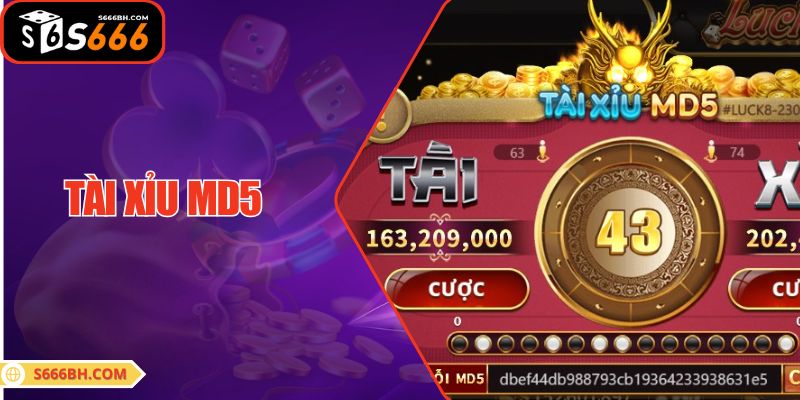 Tài Xỉu MD5 Là Gì? Giải Mã Cơ Chế Hoạt Động Chuẩn Xác