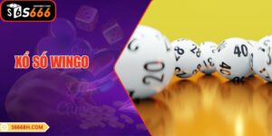 Xổ Số Wingo: Trải Nghiệm Thế Giới Giải Trí May Mắn Hấp Dẫn